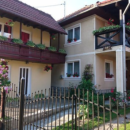 Casa Georgeta Konuk evi Bran  Dış mekan fotoğraf