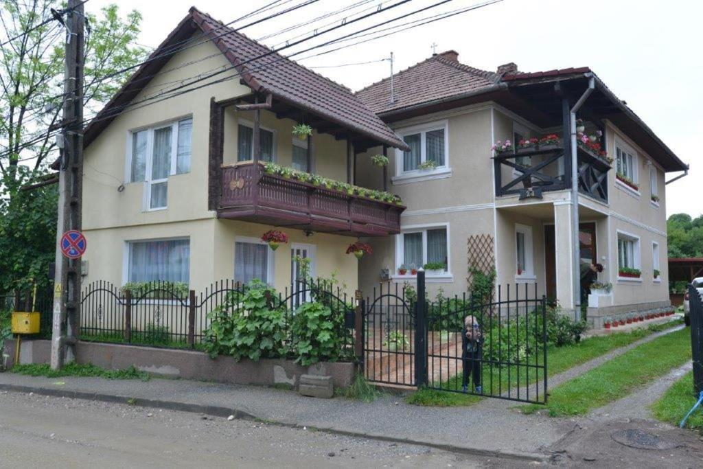 Casa Georgeta Konuk evi Bran  Dış mekan fotoğraf