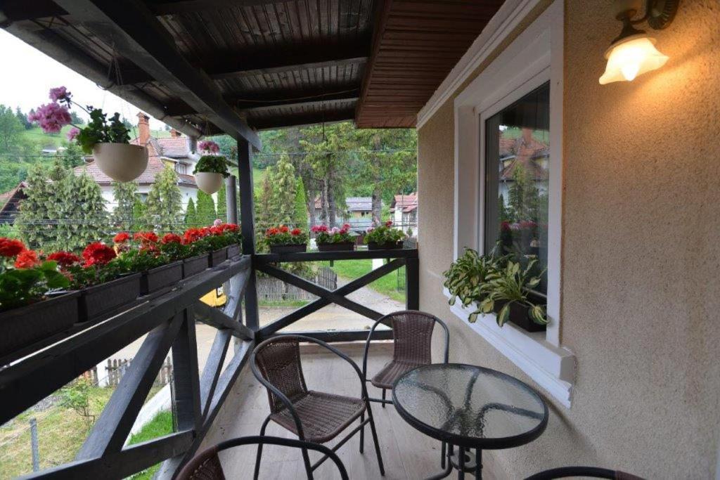 Casa Georgeta Konuk evi Bran  Dış mekan fotoğraf