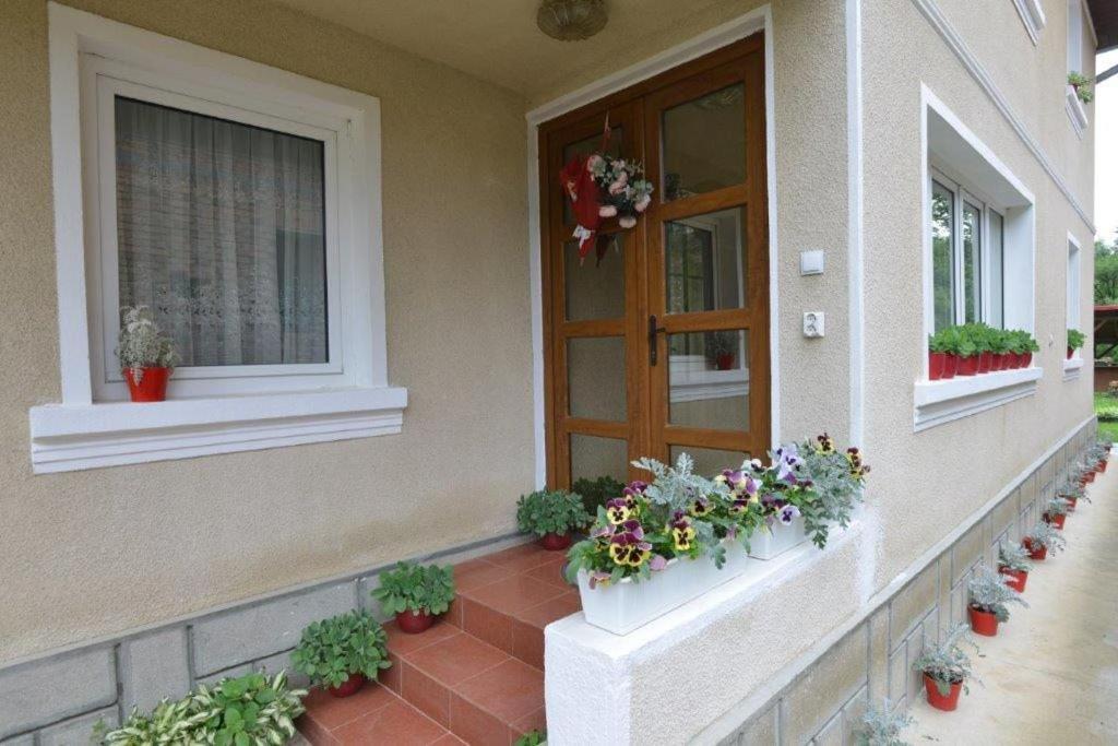 Casa Georgeta Konuk evi Bran  Dış mekan fotoğraf