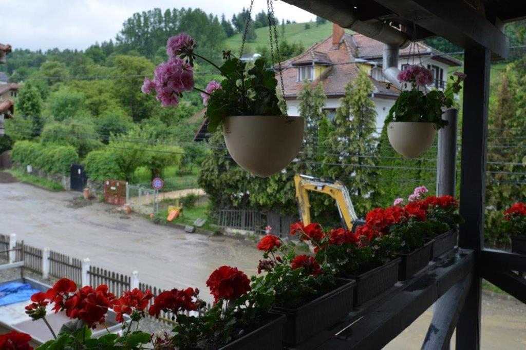 Casa Georgeta Konuk evi Bran  Dış mekan fotoğraf