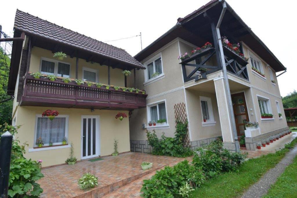 Casa Georgeta Konuk evi Bran  Dış mekan fotoğraf