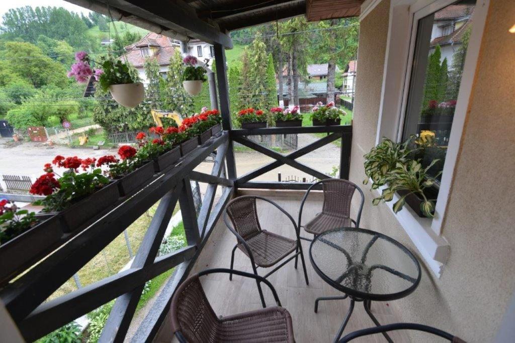 Casa Georgeta Konuk evi Bran  Dış mekan fotoğraf