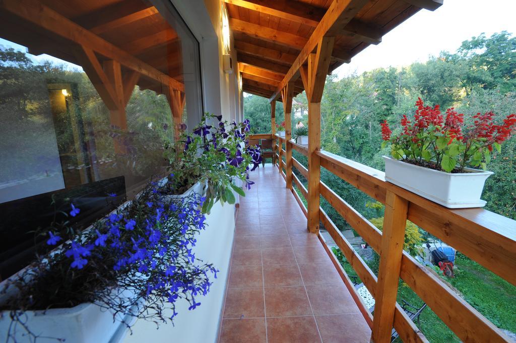 Casa Georgeta Konuk evi Bran  Dış mekan fotoğraf