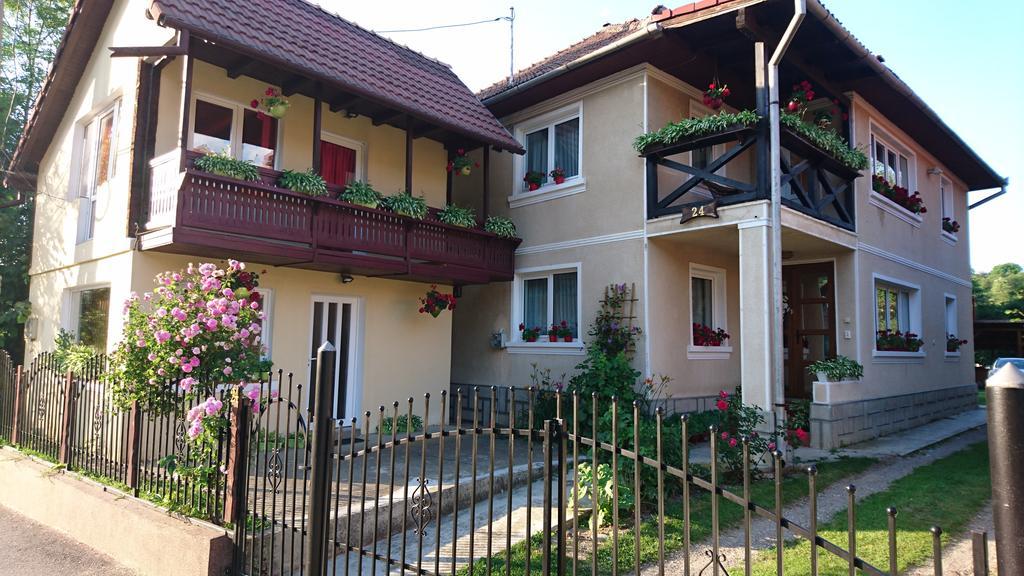 Casa Georgeta Konuk evi Bran  Dış mekan fotoğraf